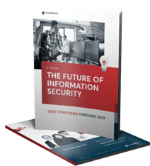 The Future of Information Security